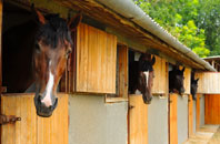 free Great Bardfield stable construction quotes